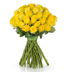 Bornova Çiçekçi , Çiçekçi Bornova , İzmir Bornova Çiçekçi